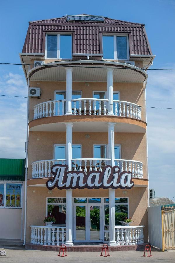 Amalia Hotel Zaliznij Port Kültér fotó